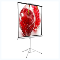 Экран на штативе DSKD-1106 - «globural.ru» - Чебоксары