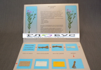 Коллекция "Лен для начальной школы" - «globural.ru» - Чебоксары