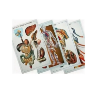 Таблицы рельефные - «globural.ru» - Чебоксары