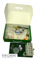 Миникейс учащегося «Начальная школа» - «globural.ru» - Чебоксары