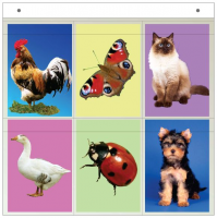 Касса "Предметные картинки" - «globural.ru» - Чебоксары