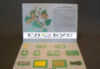 Коллекция «Шелк» для начальной школы - «globural.ru» - Чебоксары