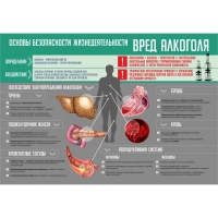 Стенд "Алкоголь" - «globural.ru» - Чебоксары