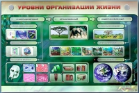 Электрифицированный стенд "Уровни организации жизни" - «globural.ru» - Чебоксары
