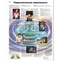 Плакат "Наркотическая зависимость", ламинированный, 50*67 см - «globural.ru» - Чебоксары