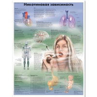 Плакат "Никотиновая зависимость", ламинированный, 50*67 см - «globural.ru» - Чебоксары