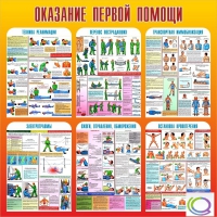 Стенд "Оказание первой помощи" - «globural.ru» - Чебоксары