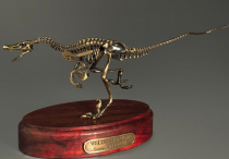 Модель скелета динозавра Velociraptor - «globural.ru» - Чебоксары