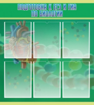 Стенд "Подготовка к ЕГЭ и ОГЭ по биологии" (вариант 1) - «globural.ru» - Чебоксары