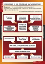 ОБЖ Здоровый образ жизни (комплект таблиц) - «globural.ru» - Чебоксары
