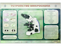 Электрифицированный стенд "Устройство микроскопа и правила работы c ним" - «globural.ru» - Чебоксары