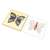 Строение бабочки с контуром. - «globural.ru» - Чебоксары