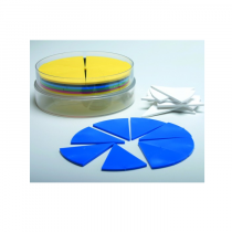 Набор пластин для представления дробей в виде кругов - «globural.ru» - Чебоксары