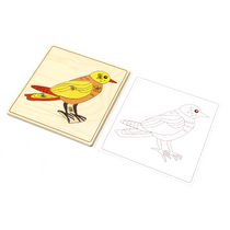 Строение птицы с контуром. - «globural.ru» - Чебоксары