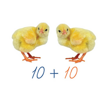 Счетный материал на магнитах "Цыплята". - «globural.ru» - Чебоксары