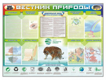 Стенд-уголок "Вестник природы" (вариант 1) - «globural.ru» - Чебоксары