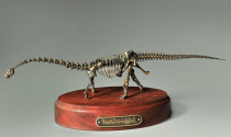 Модель скелета динозавра Diplodocus  (вариант 2) - «globural.ru» - Чебоксары