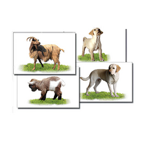 Набор карточек "Домашние животные" (раздаточные) - «globural.ru» - Чебоксары