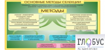 Стенд "Методы селекции и биотехнологии" - «globural.ru» - Чебоксары
