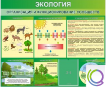 Стенд "Экология. Организация и функционирование сообществ" - «globural.ru» - Чебоксары