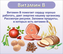 Стенд "Витамин В" - «globural.ru» - Чебоксары