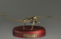 Модель скелета динозавра Diplodocus (вариант 1) - «globural.ru» - Чебоксары
