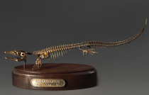 Модель скелета мозазавра Mosasaurus - «globural.ru» - Чебоксары