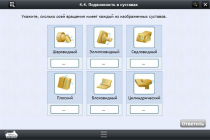 Интерактивные курсы. Биология 8 класс. Базовый  - «globural.ru» - Чебоксары