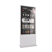 Интерактивный сенсорный киоск Nova 43" - «globural.ru» - Чебоксары