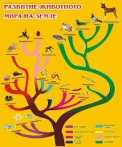 Стенд "Развитие животного мира на земле" - «globural.ru» - Чебоксары