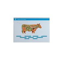 Стенд-планшет светодинамический "Изучение нервной системы сельскохозяйственных животных" со сменными панелями - «globural.ru» - Чебоксары