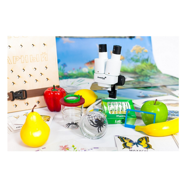 Учебно-методический набор для проектной деятельности в ДОО №1–ЕН (химия, биология, анатомия) - «globural.ru» - Чебоксары