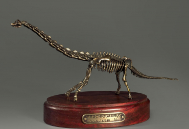 Модель скелета динозавра Brachiosaurus - «globural.ru» - Чебоксары