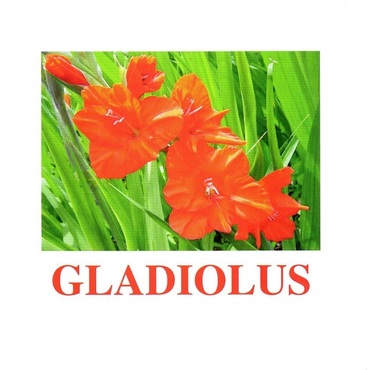 "Flowers-1" ("Цветы-1") английские карточки Домана - «globural.ru» - Чебоксары