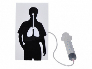 Демонстрационная модель "Эффект курения" - «globural.ru» - Чебоксары