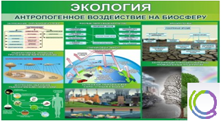 Стенд "Экология. Антропогенное воздействие на биосферу" - «globural.ru» - Чебоксары