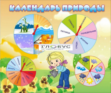 Стенд "Календарь природы" (вариант 1) - «globural.ru» - Чебоксары