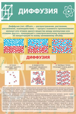 Стенд "Диффузия" - «globural.ru» - Чебоксары