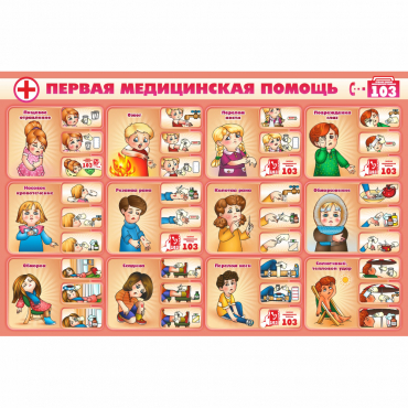 Стенд "Первая помощь" - «globural.ru» - Чебоксары