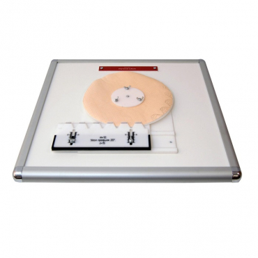 Комплекс "Изучение зубьев" - «globural.ru» - Чебоксары