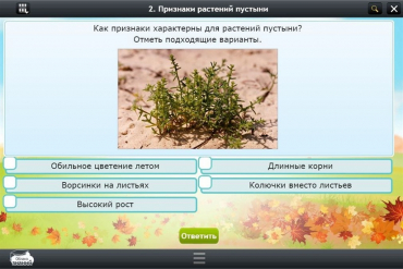 Интерактивные курсы. Окружающий мир 3 класс. Базовый - «globural.ru» - Чебоксары