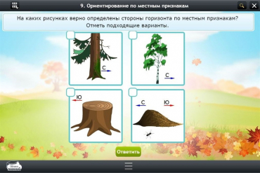 Интерактивные курсы. Окружающий мир 1 класс. Базовый - «globural.ru» - Чебоксары
