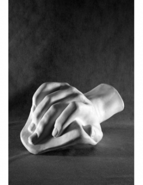 Кисть Давида - «globural.ru» - Чебоксары