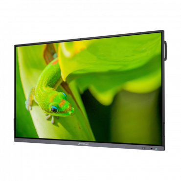 Интерактивный программно-аппаратный комплекс Geckotouch Interactive IP75GT-C в комплекте с настенным креплением - «globural.ru» - Чебоксары