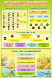 Стенд "Классификация животного мира" - «globural.ru» - Чебоксары