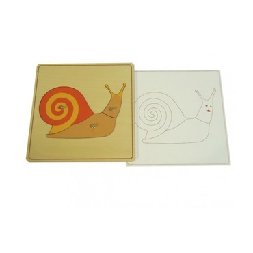 Строение улитки с контуром - «globural.ru» - Чебоксары